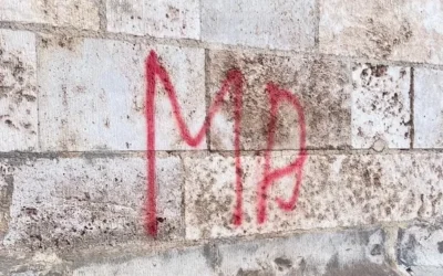 Innovación sostenible para la industria y la restauración